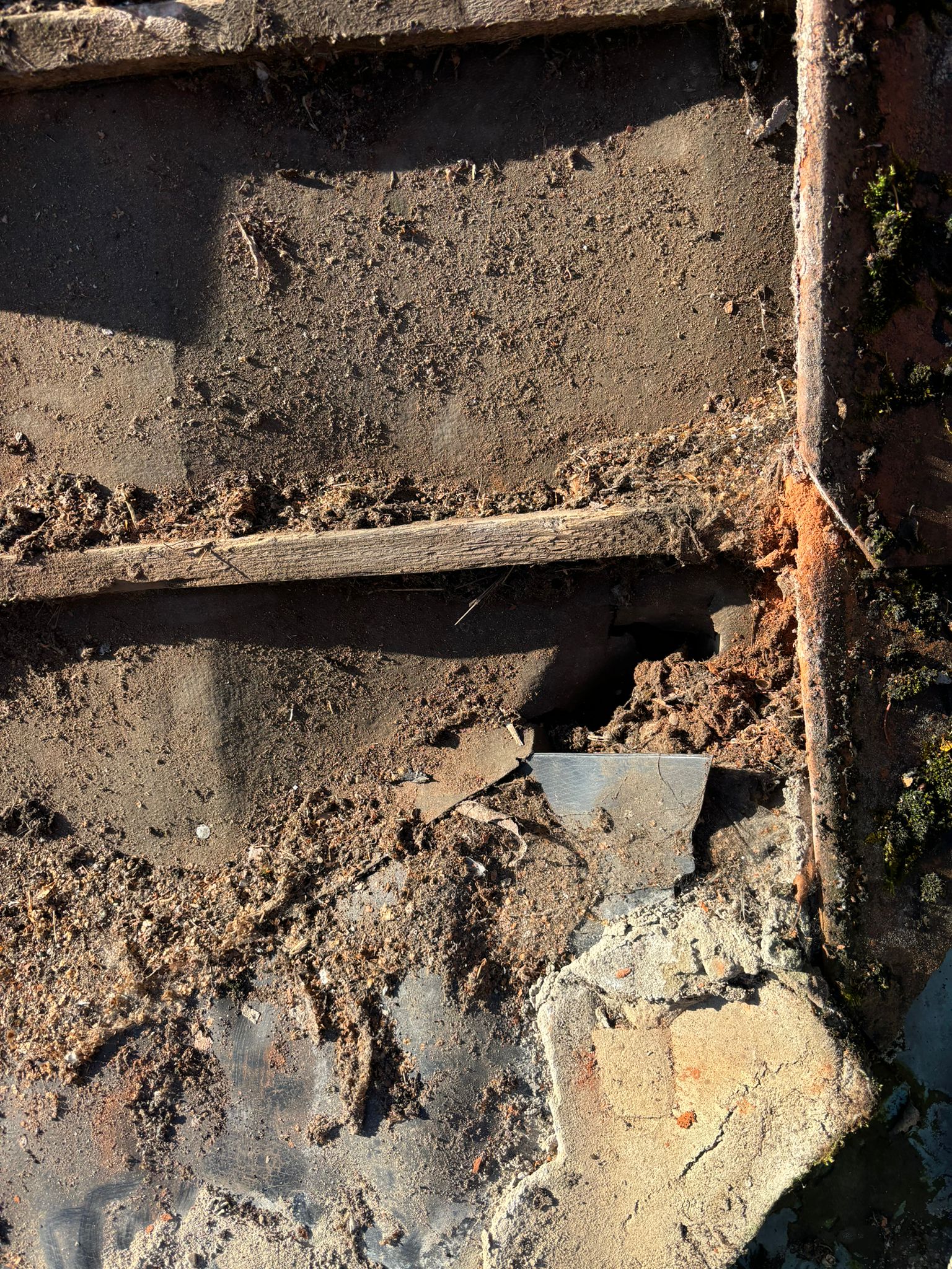 Heavy moss growth and blocked gutters on a flat roof in Barnham Broom, Norwich