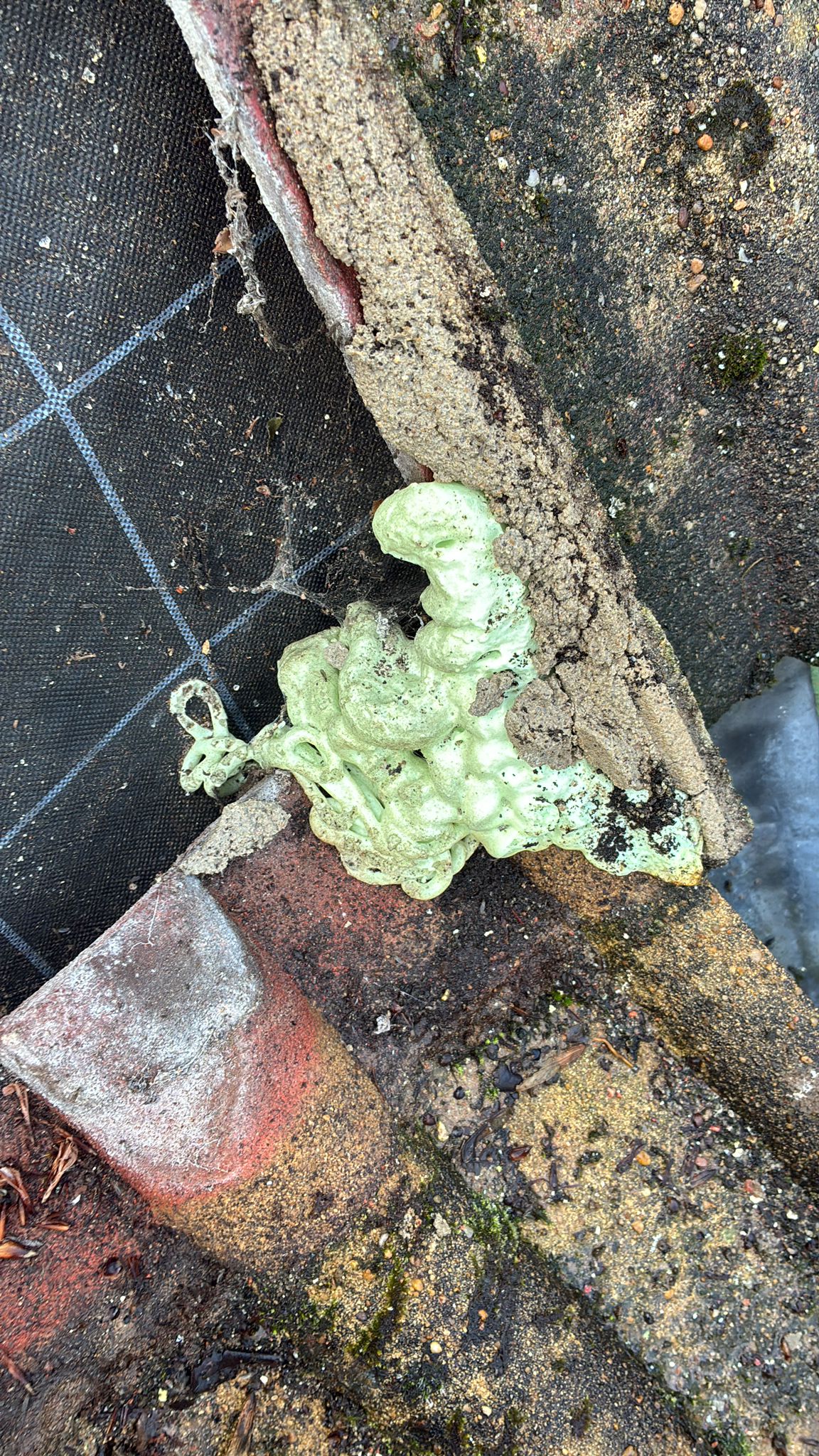 Failed expanding foam filler around chimney flashing that had been used as a previous bodge repair in Roughton