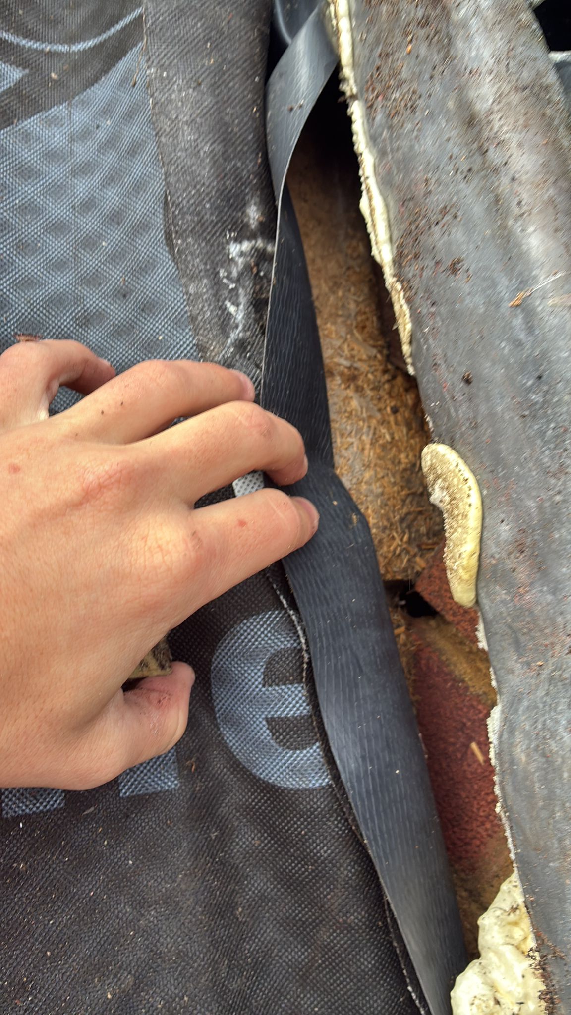 Roof membrane peeled back to reveal rotted timber and deteriorated flashing at the chimney junction in Roughton