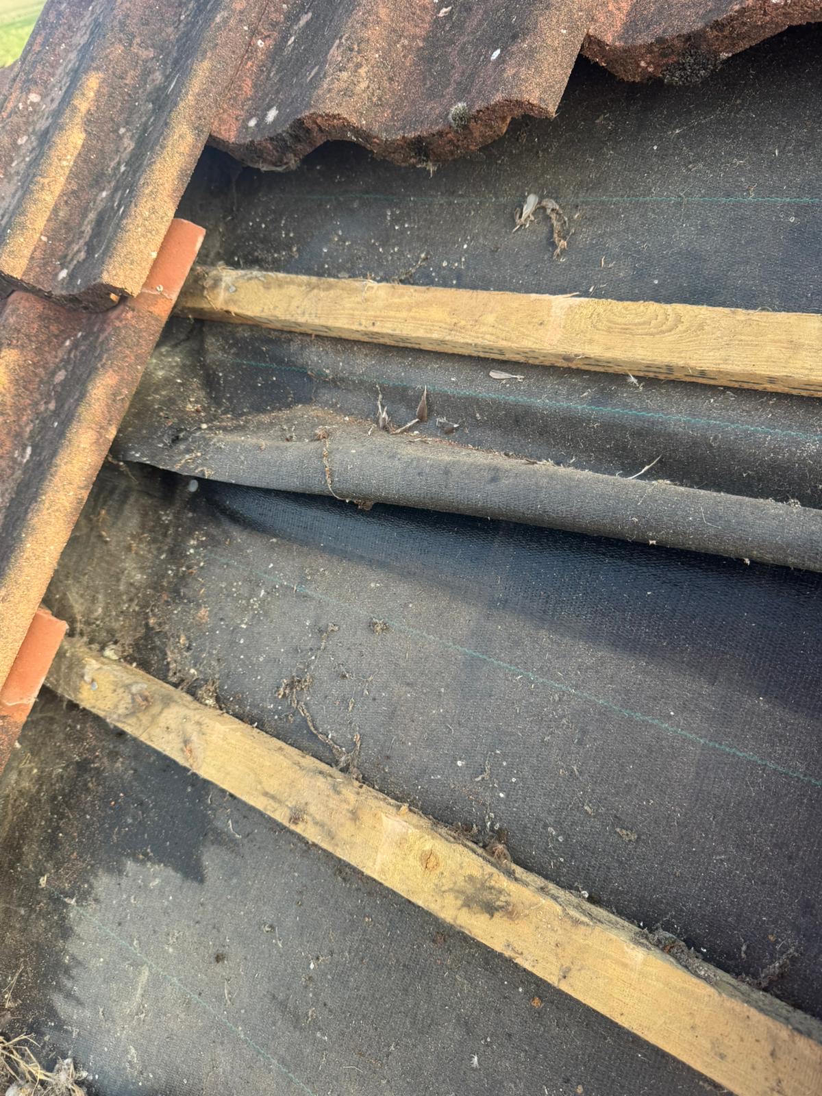 Felt and timber battens exposed after stripping damaged tiles during a roof refurbishment in Wisbech