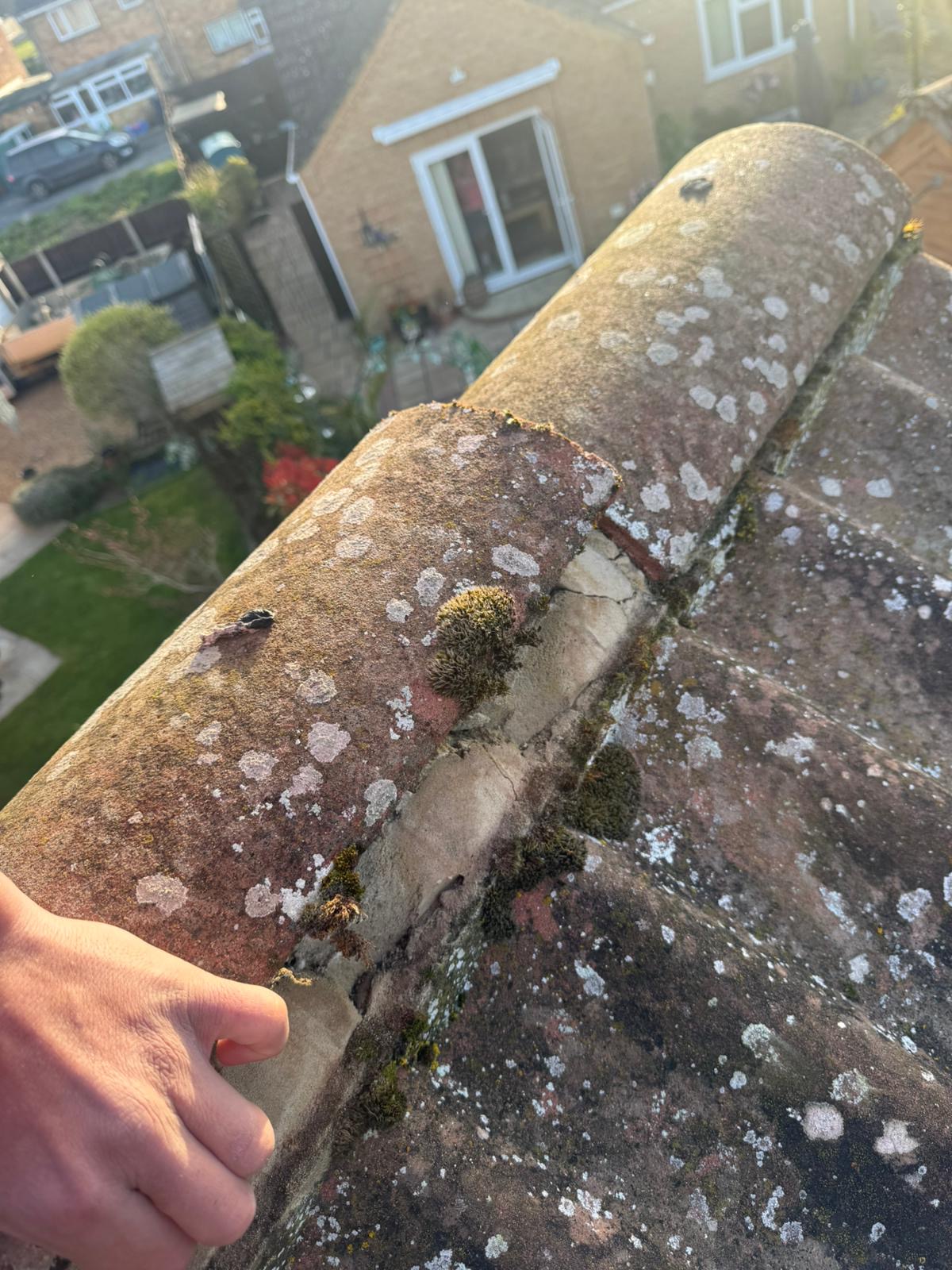Moss and lichen growing along the ridge line of a residential roof in Wisbech with gaps visible in the mortar