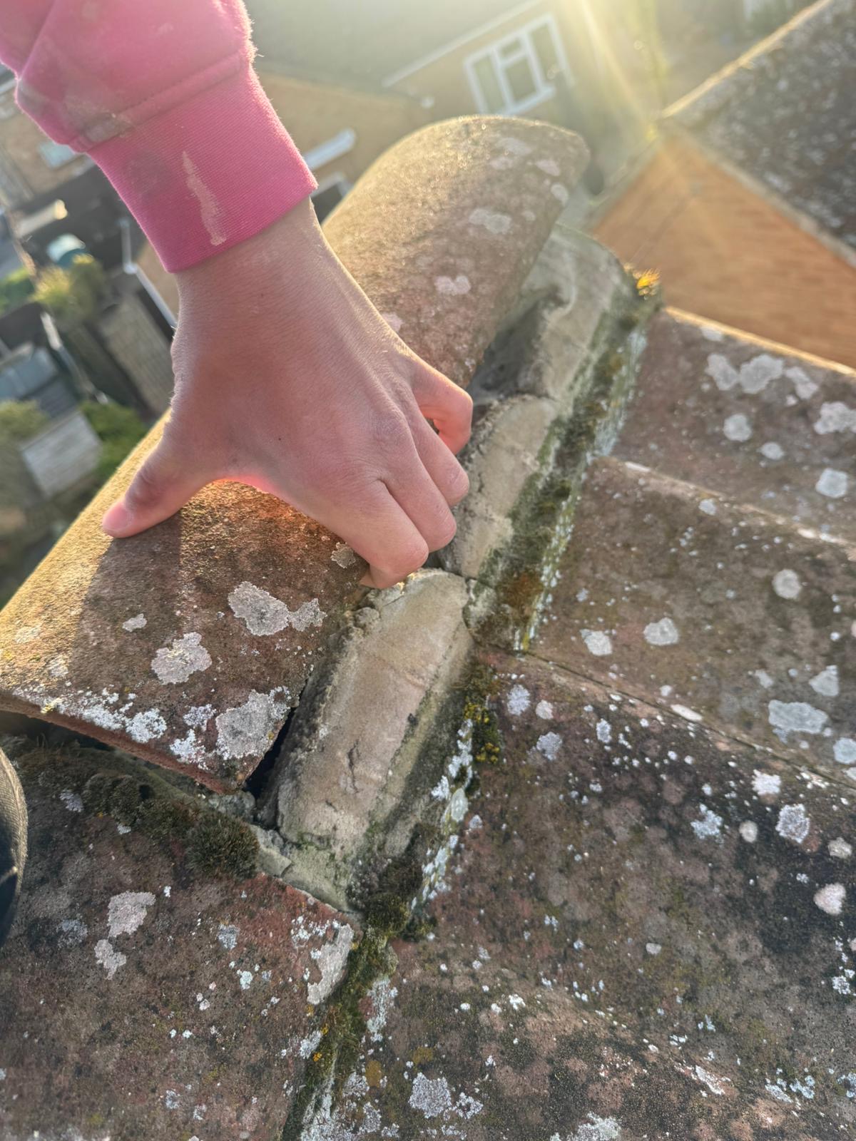 Prestige Roof team member inspecting a gap in ridge tiles caused by deteriorated mortar on a Wisbech property