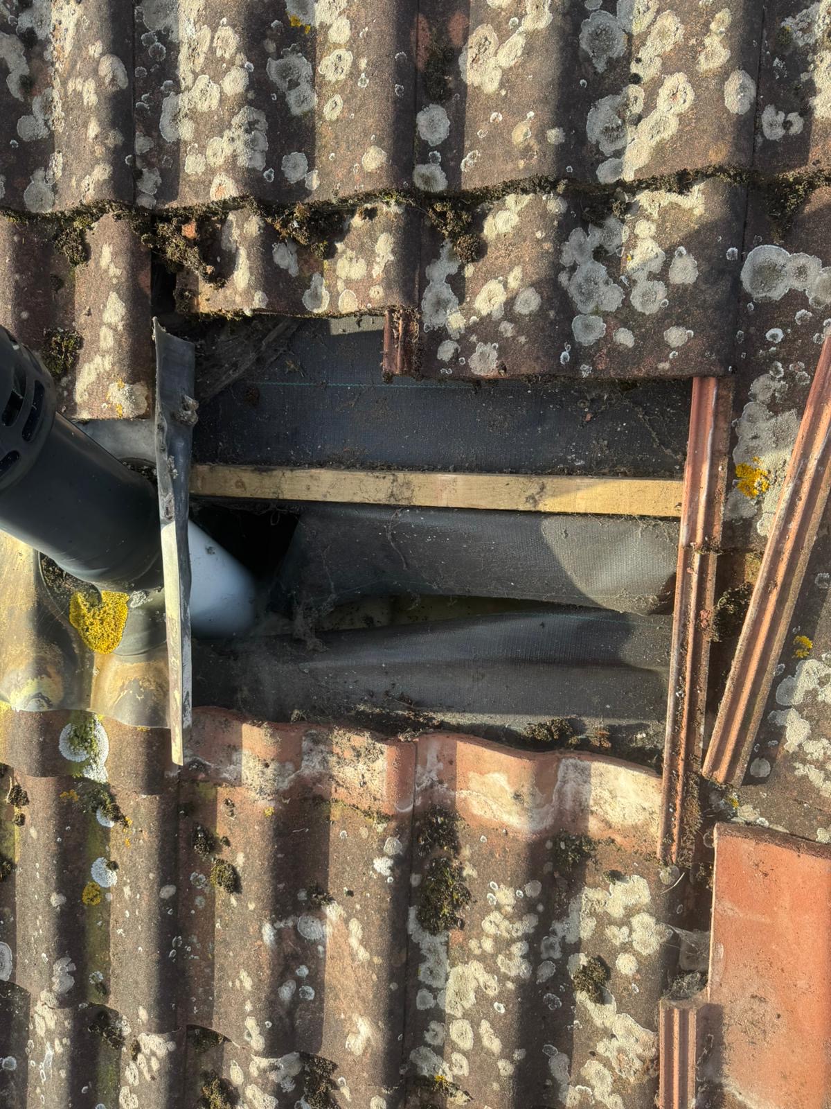 Concrete roof tiles lifted to reveal moss damage and deteriorated felt on a property in Wisbech